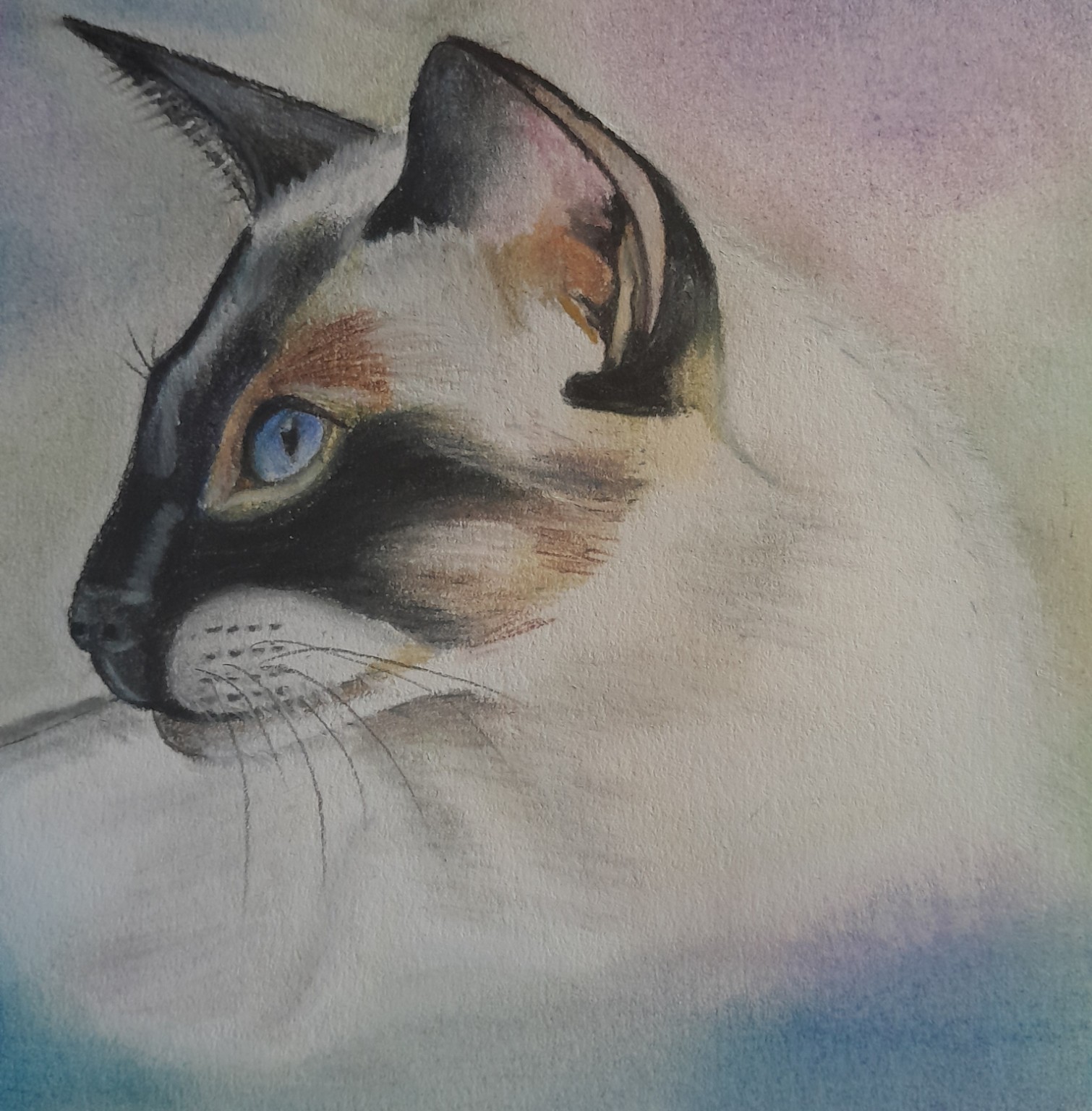 Handgetekende kat-portret